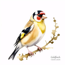 Watercolour Finches