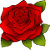 Blossom Chic Design