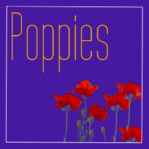 Poppies