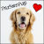 ParkerPup