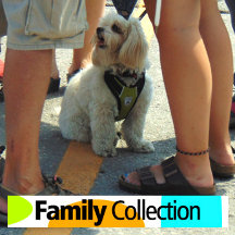 for FAMILIES touched by DOG LOVE!