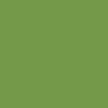 Olive Color Party Supplies