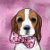 Beagles_by_Joanne