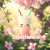 smoothiens.id