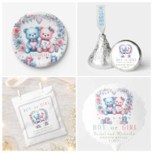Gender Reveal Party - Teddy Bear - Blue and Pink 3