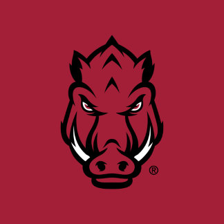 University of Arkansas