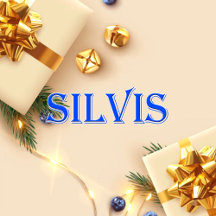 Silvis_Name T-Shirt