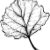 Leaves To Color