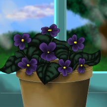 Violets