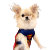 Chihouserescuestore