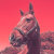 Red Horse Reverie
