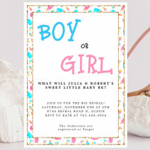 Blue Pink Gender Reveal Party