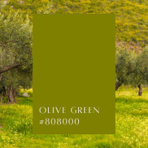 Olive Green 