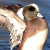 Gilliand_Photo