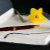 SoulMusings