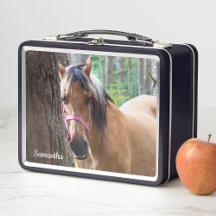 Lunch Boxes and Can Coolers