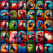 Parrots Themed Cards & Gifts