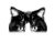 Manchester Cat Store