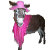 DonkeyDaydreams