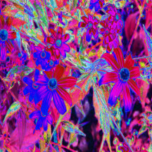 Psychedelic Retro Crimson and Magenta Wildflowers