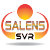Salens-SVR Design
