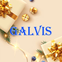 Galvis_Name T-Shirt