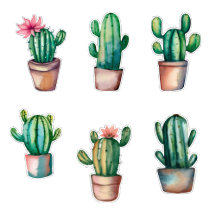 Cactus