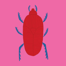 pink and blue
