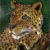 Ines Miller Fine Art & Designs