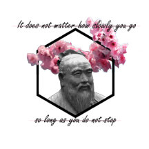 Quotes collection