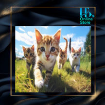 Pictures - Cats & Kittens (Customizable)