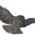 JustBirds
