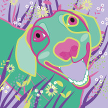animals 2