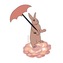  Bunny