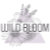 WildBloomNYC