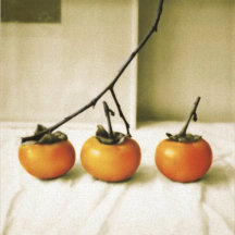 art by noreen rei fukumori