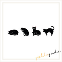 Cute Funny Black Cat