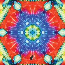 Kaleidoscopic Cornucopia