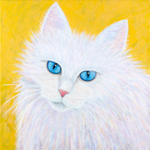 Cute Cats