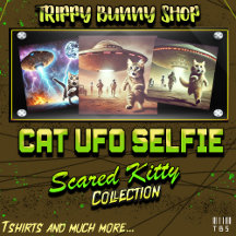 Cat UFO Selfie: Scared Kitty