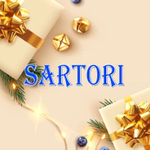 Sartori_Name T-Shirt