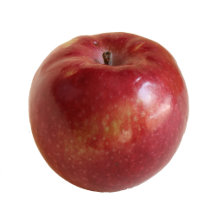 Fruits