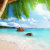 FOREVER SUMMER