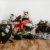 LMN_Feline_Rescue