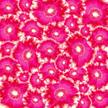 Beautiful Floral Designs