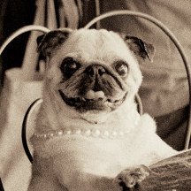 Shop officially licensed artworks!