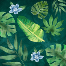 Home and Office Living