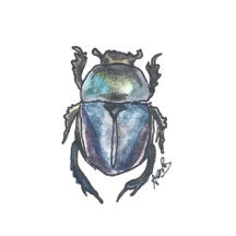 Fill Your Workspace With Positivity