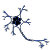 NeuroWebVet