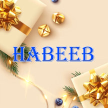 Habeeb_Name T-Shirt